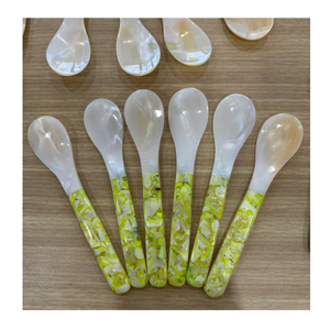 Cuillère artisanale en coquillage naturel, cuillère en nacre pour café, dessert, glace, usage en restaurant - Product Image 4