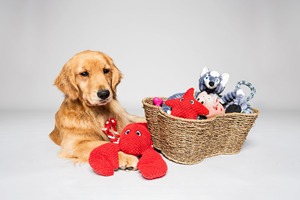 Panier de rangement pour jouets pour chien en forme d'os, panier de rangement fait main, vente en gros, écologique, fabriqué au Vietnam - Product Image 4