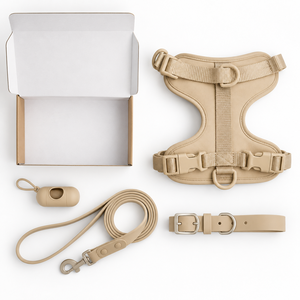 <span class=keywords><strong>Correas</strong></span> de Pecho <span class=keywords><strong>para</strong></span> Mascotas Transpirables <span class=keywords><strong>y</strong></span> Ecológicas con Logotipo Personalizado 2026, Diseños Nuevos de Alta Gama al por Mayor Mascotas - Product Image 3
