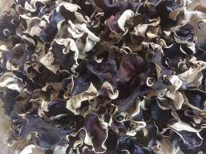 Hongos Oreja de Puerco Secos Orgánicos, Hongo Negro Entero para Recetas Veganas Saludables - Product Image 6