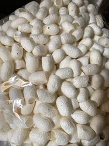 Vente en gros de soie naturelle cocon coupé d'un côté ver à soie séché pour les cosmétiques et la beauté soins personnels emballage en vrac - Product Image 2