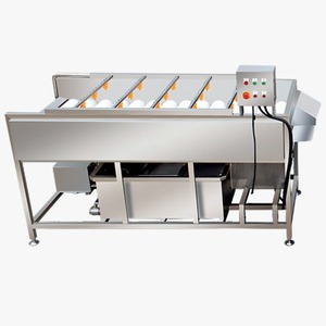 Soft <b>Brush</b> Washer Machine 700 kg/hr - Product Image 1