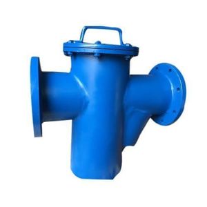 Filtro de Cesta Industrial Azul con Brida de 3 Pulgadas, Válvula de Retención de Agua, Operación Manual, Uso General - Product Image 1