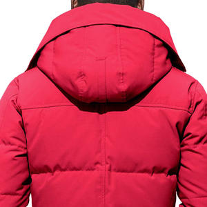 Chaqueta Acolchada para Hombre de Fábrica OEM, Chaqueta de Invierno con Logotipo Personalizado para Marca y Etiqueta Privada - Product Image 6