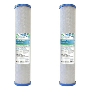 Filtre à bloc de charbon lié pour la réduction de la chloramine, 1 micron, hydratation pure quotidienne - Product Image 1