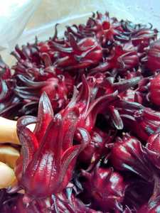 Fleur d'hibiscus séchée pour la fabrication de bougies DIY, décoration de bougies parfumées, matériaux botaniques naturels, vente en gros, qualité supérieure - Product Image 6