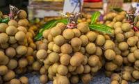 Mekong-rivier zonrijpe zachte gedroogde roze guave, rijke aroma, kauwbare textuur, 100% natuurlijk uit Vietnam