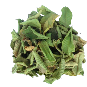 Polvo de Hoja de Guayaba Grado Té, Exportación a Granel, Psidium Guajava India, Patil Foods - Product Image 1