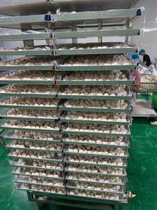 Equipo de Liofilización Comercial Automático de Acero Inoxidable WHFD-100, Controlado por PLC, Multiaplicación, Larga Vida Útil, para Alimentos - Product Image 4