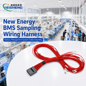 Aangepaste bekabeling voor elektrische voertuigen, batterij BMS-signaalkabel, OEM ODM - Product Image 1