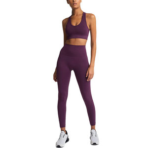 Conjunto de Yoga sin Costuras de 2 Piezas, Top Corto de Cintura Alta y Leggings Largos, Color Sólido, Espalda Cruzada, Ropa Deportiva para Mujer - Product Image 1