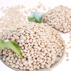Vente en gros de gros pois blancs frais, riches en sucre et au goût sucré - Product Image 6