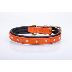Collar de perro de cuero naranja de calidad superior con tachuelas de cristales y acolchado suave Proveedor y fabricante Saman Exports - Product Image 3