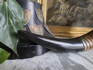 Nueva Lupa Hecha a Mano con Mango de Cuerno de Búfalo, Ecológica, para Lectura de Precisión y Estilo Clásico Vintage de Alta Calidad - Product Image 4