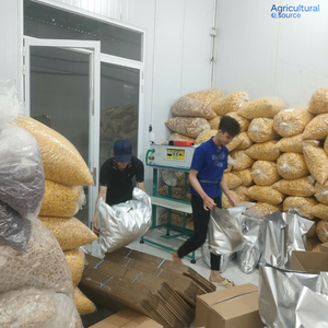 OEM ODM ผลไม้แผ่นอบกรอบพรีเมียม รสซอสปลาต้นหอม |   พร้อมรับประทาน อายุการเก็บรักษา 12 เดือน ผลิตจากโรงงานในเวียดนาม - Product Image 5
