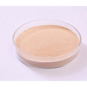 Enzima proteasa alcalina de grado alimenticio, enzima de escala industrial para la fabricación de productos lácteos, bebidas y panadería. - Product Image 6