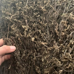 VietDelta Gelée de Herbes Séchées Naturelle, Boissons Gélifiées aux Herbes, Dessert Sucré Rafraîchissant, Durée de Conservation 12-18 Mois, Vente en Gros - Product Image 6