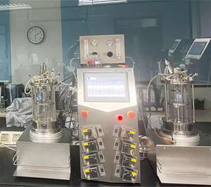 Biorreactor de laboratorio Bailun 5L, agitación magnética, gestión de aireación, monitoreo de bioprocesos, cultivo microbiano, BLBIO-GC - Product Image 5