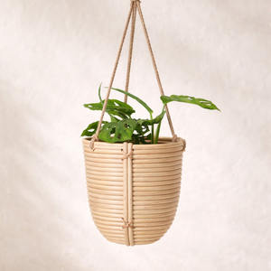Jardinières en rotin, grandes et petites, paniers suspendus pour jardin, pots d'intérieur et d'extérieur, décoration végétale - Product Image 4