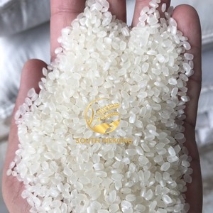 Arroz Japonica de Alta Calidad, Cumple con las Normas de la UE, Arroz para Sushi de Grano Corto, Textura Suave, Cosecha Nueva, 5% de Grano Partido, Blanco, 2 Años de Duración, Exportaciones - Product Image 2