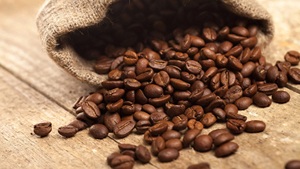 100% PURE ROASTED ARABICA & ROBUSTA COFFEE BEANS FACTORY PRICE WHOLESALE - Product Image 1