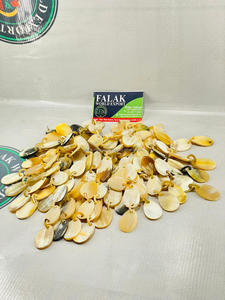 Accepter Design personnalisé Boucle d'oreille en corne de buffle Bijoux en corne de buffle de dernière conception Anneau d'oreille en corne de buffle Falak World Export - Product Image 6