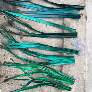 ใบปาล์มแห้งย้อมสีตามสั่งขายส่ง ใบประดับตกแต่งงานอีเว้นท์และจัดดอกไม้ สีสันสดใส สไตล์โบโฮ สำหรับตกแต่งบ้าน - Product Image 1