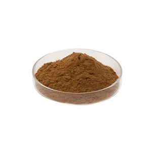 100% Organic Bulk price Yacon Extract