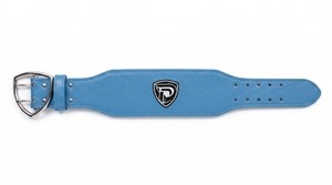 Ceinture de musculation Dumela 100 mm en cuir de vachette, boucle à ardillon, broderie bleu clair, style décontracté et durable - Product Image 1