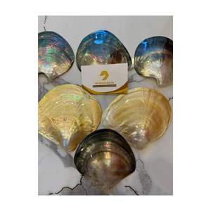 Assiette décorative en nacre dorée, plat noir polyvalent pour caviar, savon, maison, luxe, écologique, jetable - Product Image 2