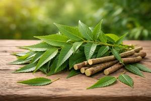 Herbes naturelles de Neem très demandées pour l'agriculture biologique, l'utilisation médicinale, les soins personnels et les acheteurs en gros disponibles au meilleur prix - Product Image 5