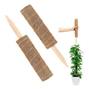 Palo de Fibra de Coco Premium de Alta Calidad, Retiene Agua, Soporte para Plantas Trepadoras como la Monstera - Product Image 1