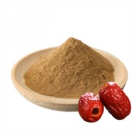 Poudre de Jujube 100% Pure en Gros OEM ODM – Poudre Naturelle de Dattes Rouges pour Smoothies, Thés et Boissons