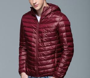 Blouson d'hiver matelassé personnalisé pour homme 2025 2026, long, chaud, col montant, fermeture éclair frontale, en toile, style décontracté, vêtement d'extérieur OEM - Product Image 2