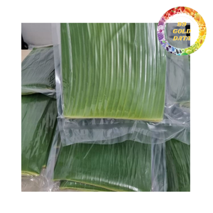 Feuilles de bananier congelées, feuilles d'emballage alimentaire naturelles pour restaurants et services de restauration, approvisionnement en gros - Product Image 6