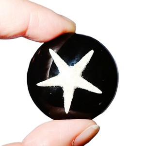 Starfish Real Specimen Plastic Cabochon Round 35x35 mm Black Flat Bottom for Crafts and Jewelry Making - Product Image 6