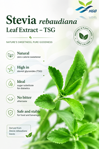 HGO, suministro directo de fábrica, extracto de hoja de Stevia natural rebaudiana (grado alimenticio), especificación TSG 90% (extracto estandarizado) - Product Image 2