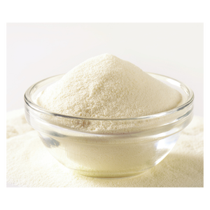 Leche en Polvo Entera de Alta Calidad Suministrada a Precio Directo de Fábrica con Entrega Rápida - Product Image 6