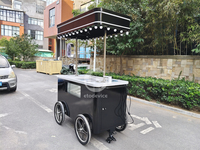 Chariot de plage commercial électrique en fibre de verre pour mini-congélateur de glaces, chariot à main pour la vente de crème glacée