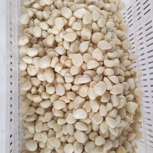 Machine à éplucher le gingembre et ligne de produits séparés en Égypte - Product Image 6