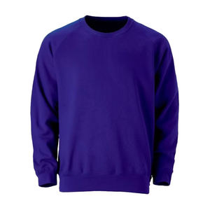 Sweat-shirt à capuche décontracté pour homme 100 % coton, en molleton épais, violet royal, avec lettrage, vente en gros - Product Image 4