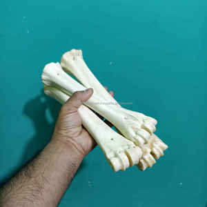 Medio Tubo de Hueso de Búfalo Blanco Natural de Primera Calidad para Artesanías Tradicionales y Artesanías Vikingas al Mejor Precio - Product Image 4
