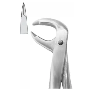 Extraforceps d'instruments chirurgicaux dentaires de modèle anglais standard pour les centrales supérieures et les molaires inférieures - Product Image 1