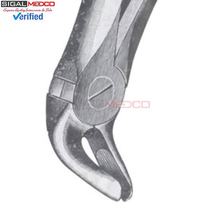 Figura. 13 Fórceps de Extracción de Dientes Premolares Inferiores de Diferentes Tamaños, Instrumentos Dentales Médicos, Precio al por Mayor, Proveedor a Granel - Product Image 2