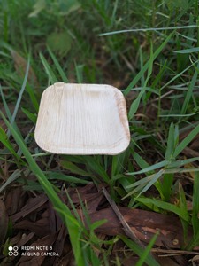 [VENTE CHAUDE] |   Assiettes jetables biodégradables en feuilles de palmier de 10 pouces, en vrac, pour le camping en plein air, les barbecues et les fêtes au Vietnam - Product Image 6