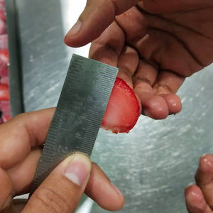 Precio de Fábrica, Fresas Liofilizadas Orgánicas a Granel, Sin OMG, 100% Naturales, Envasadas al Vacío, Certificación HP Valia EU, 24 Meses de Duración - Product Image 1