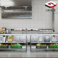 Équipement de cuisine GRACE pour restaurant : Ligne de grils, friteuses, fours et cuiseurs vapeur pour projets de cuisine d'hôtel et de cantine