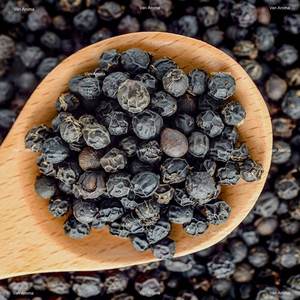 Extrait liquide d'huile aromatique de Cubeb (CB-0101) Van Aroma - Product Image 2