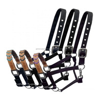 Dos de cheval en nylon noir avec cuir de vache argentin nez d'accent tressé réglable triple pli sangle en nylon licou de cheval en nylon