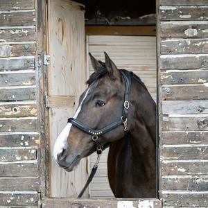 Horsekraft Factory - Vente en gros - Selle anglaise personnalisable, confortable et durable - Collier en cuir pour cheval - Alliage de zinc - Product Image 3